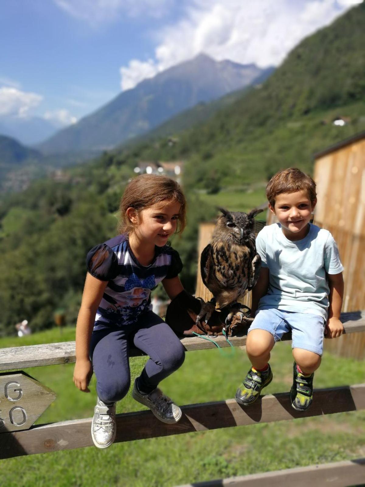 Pension Schweigkofler Tirolo Esterno foto